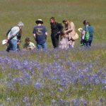 Visitors admiring the prairie bloom