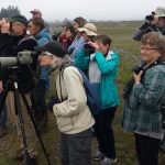 Birders on the loose at PAD 2018!