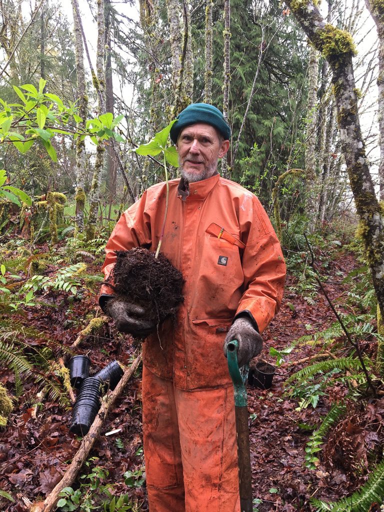 Don Guyot, Intrepid South Sound Plant Rescuer at work with Trillium ovatum.  Photo by Andy Hopwood