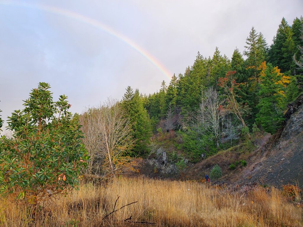 The boss working along Dan Kelly Ridge by Port Angeles, making room for more colonizing Taylors checkerspots, working under what would become a DOUBLE rainbow.  Can you spot him?  “Where’s Wal-ders” ;) Photo by Ivy Clark.