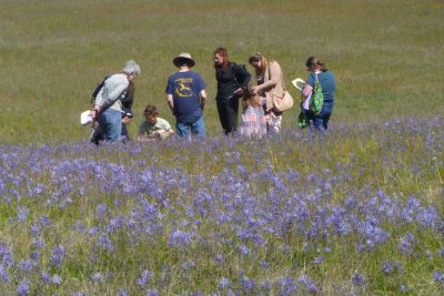 Visitors admiring the prairie bloom
